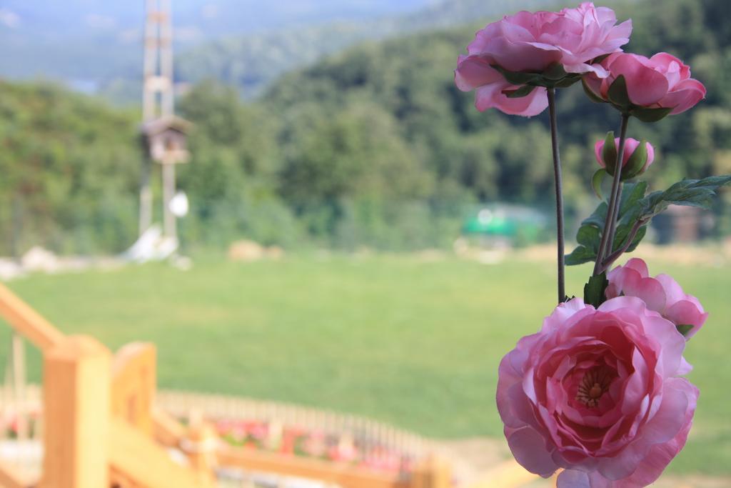 Zumrut Bahce Motel Gokcedere Екстериор снимка