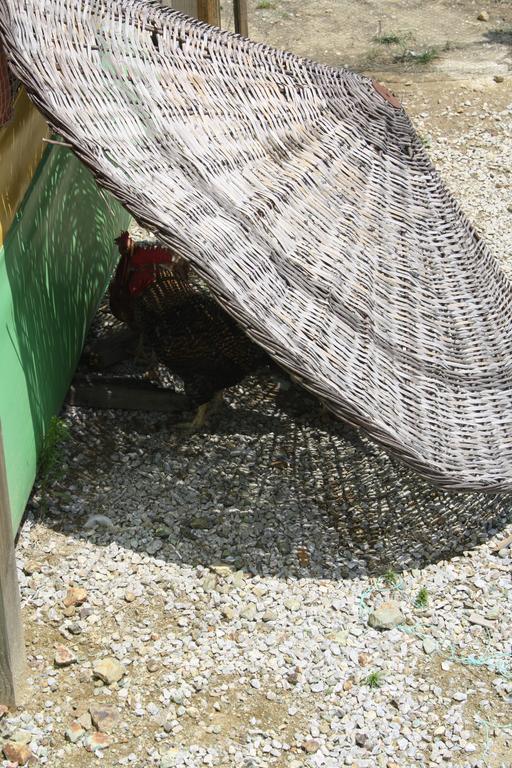 Zumrut Bahce Motel Gokcedere Екстериор снимка